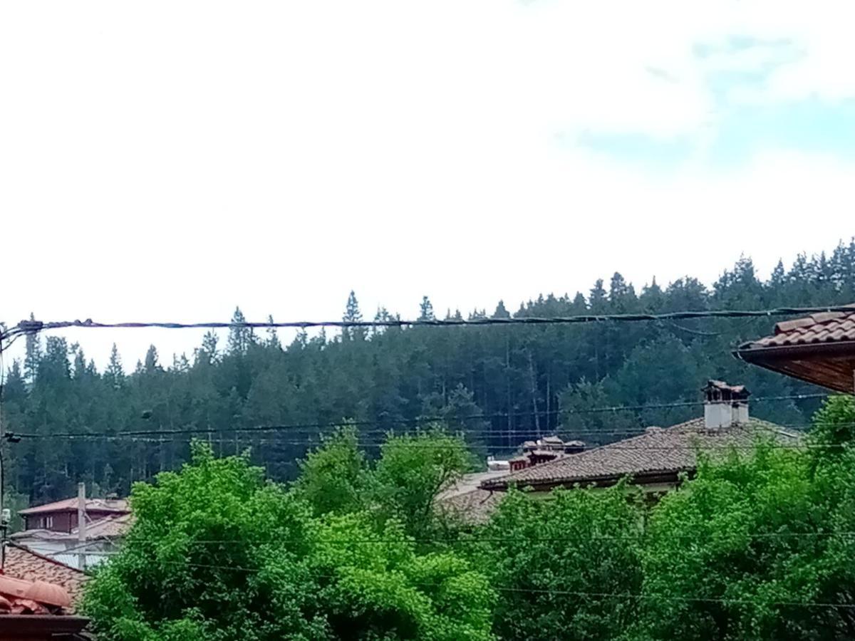 Стаи За Гости Милена Koprivshtitsa Exterior photo
